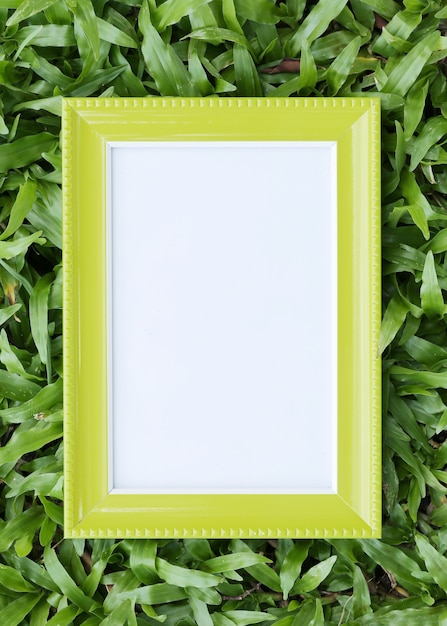 Yellow picture frame on green lawn in top view.