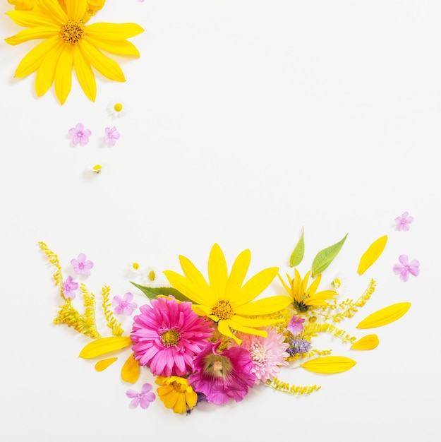 Yellow and pink flowers on white background