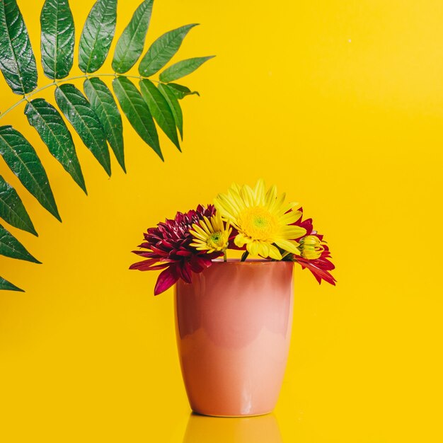 Fiori di gerbera gialla e rosa in una tazza rosa su sfondo giallo con un grande ramo verde verde con foglie