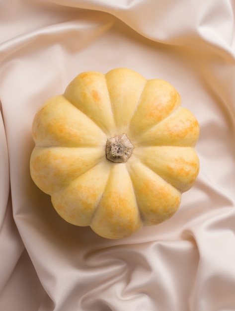 Yellow pumpkin on silk fabric. View from above. Modern, delicate design