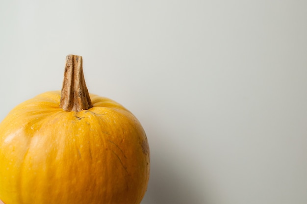 Foto zucca gialla su sfondo bianco