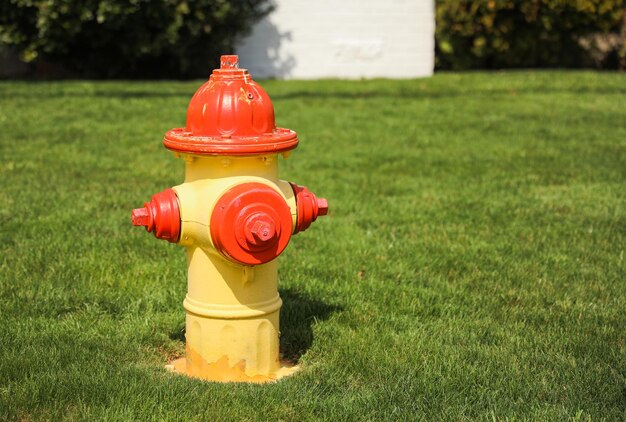 A yellow and red fire hydrant is in the grass.