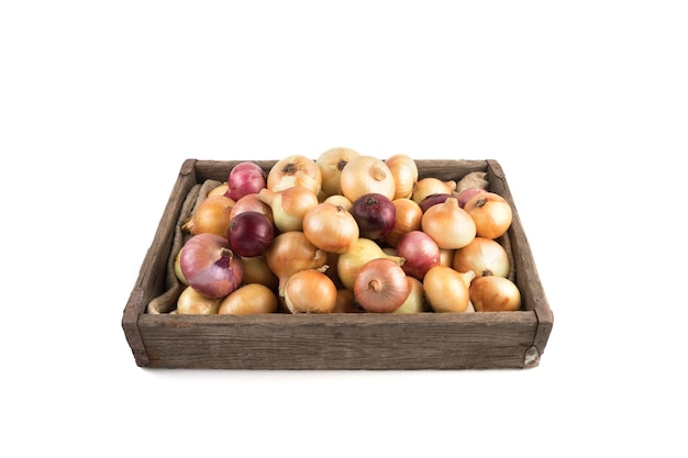Yellow and red onions in a rustic wooden box isolated on white