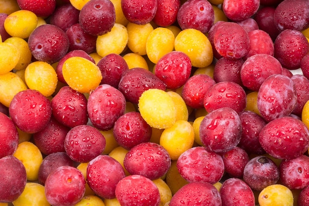 Yellow and red plums in droplets of water