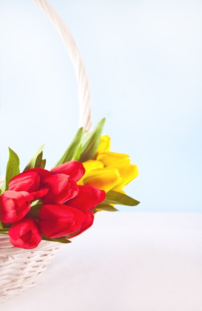 Yellow and red tulips in basket for Easter day on the light blue background. Copy space.