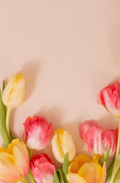 Yellow and red tulips on beige background