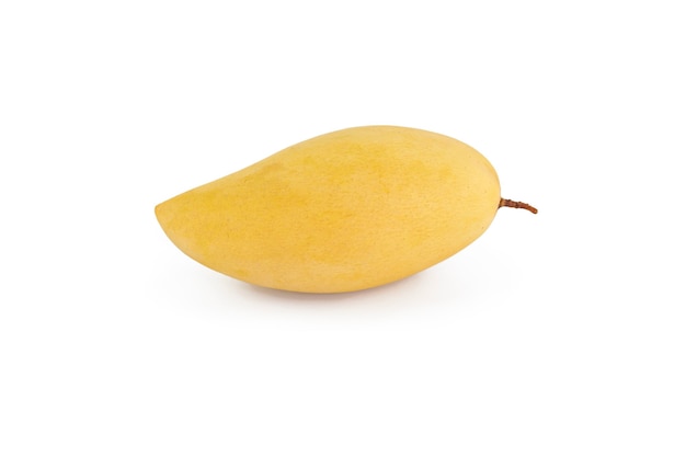 Yellow ripe mango isolated