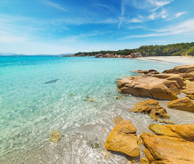 Yellow rocks in Capriccioli beach Sardinia