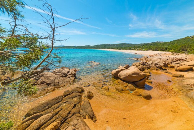 Photo yellow rocks in liscia ruja sardinia