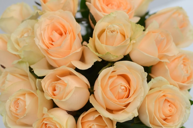 Yellow  rose flower arrangement on white background