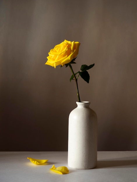 Yellow rose in a vase still life