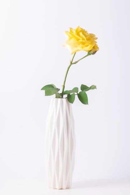 Желтая роза в белой вазе на белом фоне.