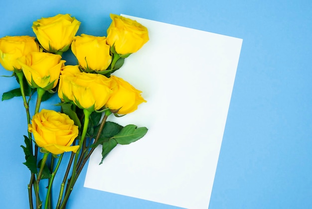 Yellow roses on blue background with space for text