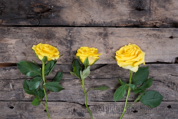写真 木製のテーブルの上の黄色いバラ