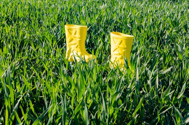 Yellow rubber boots in bright green grass on a sunny day