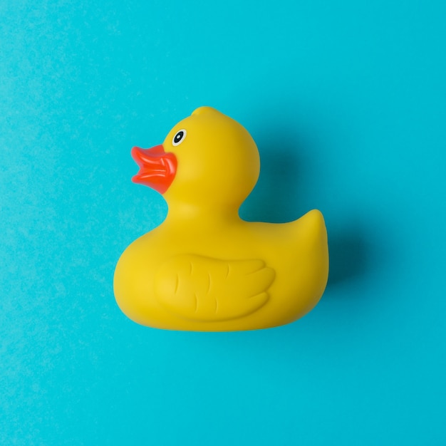 Yellow rubber duck on blue background.