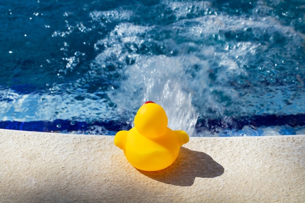 Yellow rubber duck on the edge of  a swimming pool