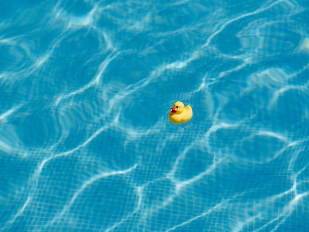 Yellow rubber duck floating in a pool