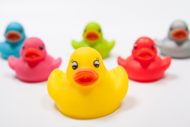 Photo yellow rubber duck in front of the team of colorful rubber ducks isolated, leadership, teamwork concept