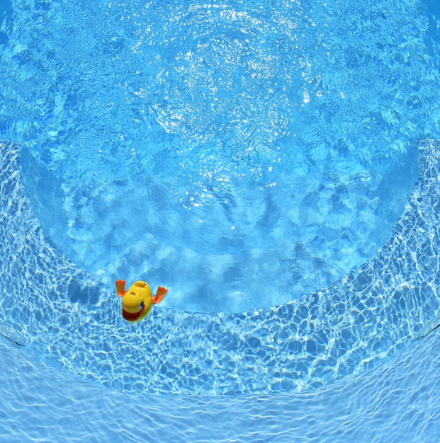 Yellow Rubber Duck Yellow rubber duck in the home pool in the summer