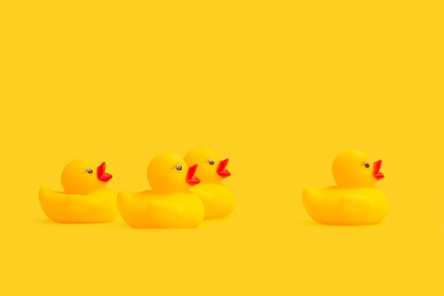 Yellow rubber toy ducks isolated on yellow