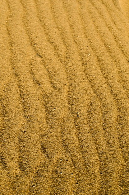 Foto dune del deserto di sabbia giallasiccità clima aridosuperficie marzianaclose up