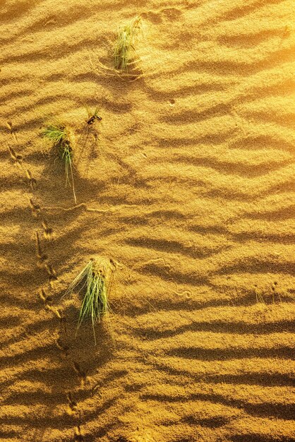 Yellow sand in desert