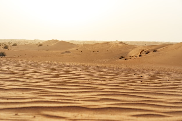 Yellow sand dunes in dubai desert for a surface