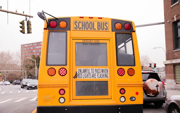 A yellow school bus with the words " school bus " on the back.