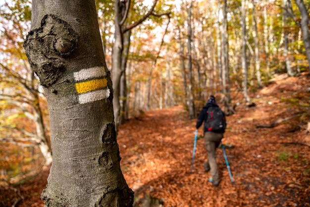 Yellow sign on tree for hiking mountain trail