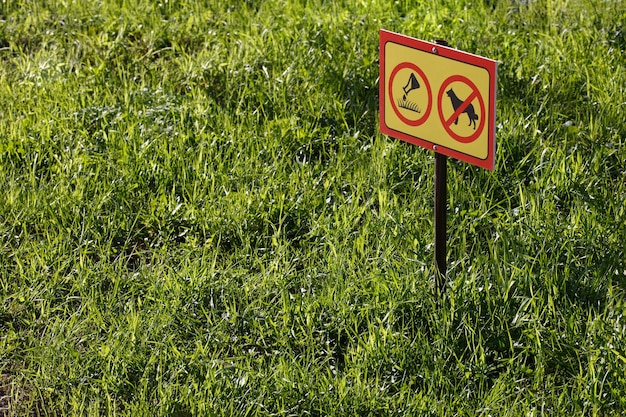 Yellow sign with chemical application no dogs on green lawn\
background closeup with selective focus