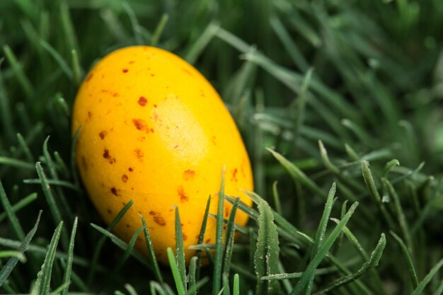 Yellow speckled easter egg