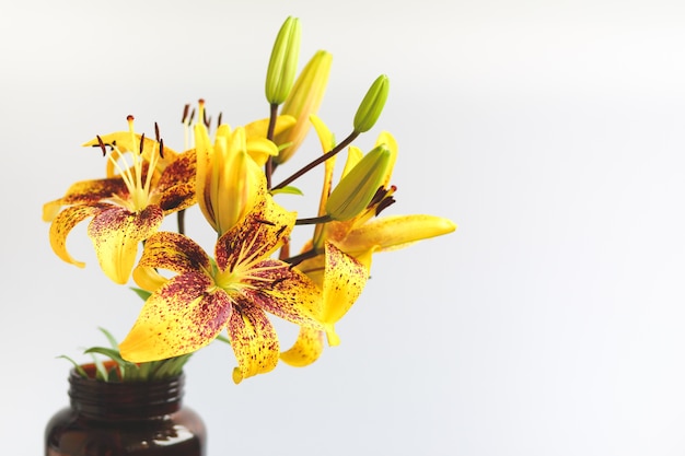 白い背景の上の暗い花瓶に黄色の斑点のあるリリー