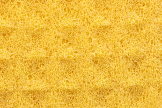 Sponge Texture Image & Photo (Free Trial)