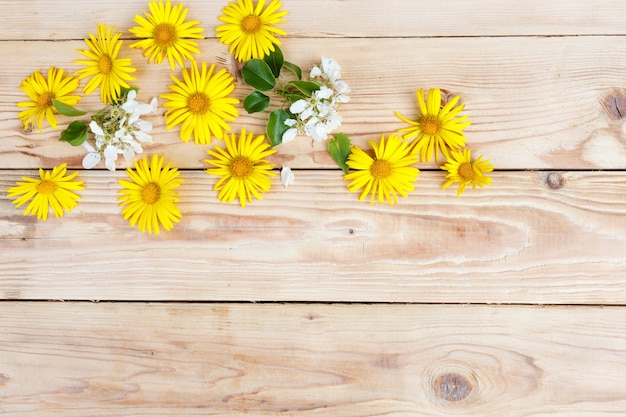 黄色い春の花が木製の背景に配置されています。上面図。