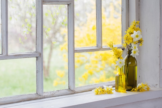 Fiori primaverili gialli sulla vecchia finestra bianca