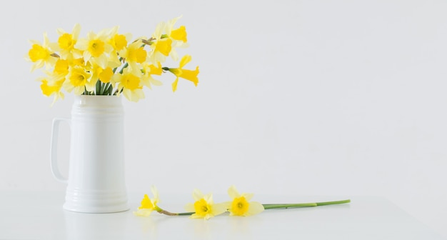 Yellow spring flowers on white background