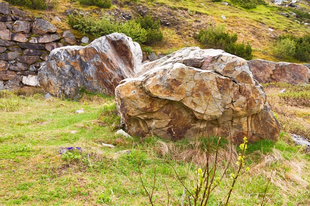 The yellow stone lies on the grass.