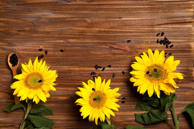 Yellow sunflowers on background of old fence.