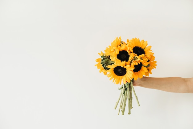 Yellow sunflowers bouquet in female hand on white