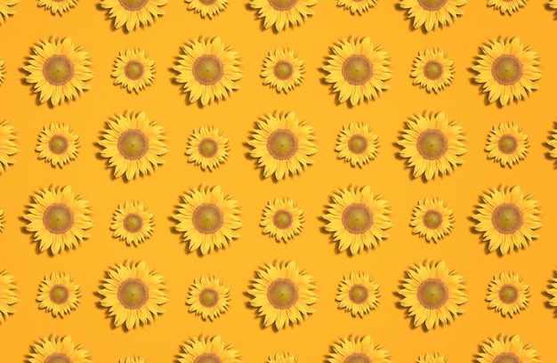 Yellow sunflowers on an orange background