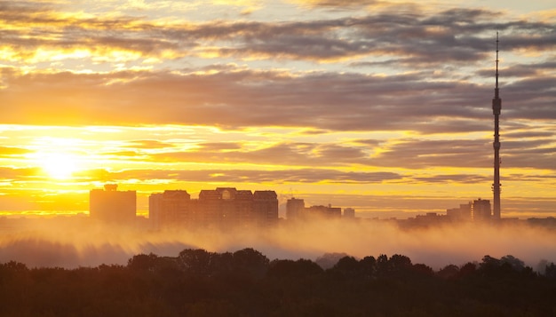 Yellow sunrise in autumn city