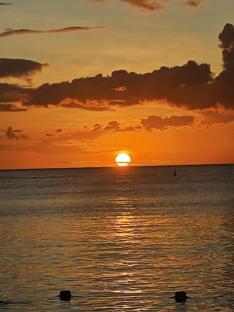 Photo yellow sunset by the beach