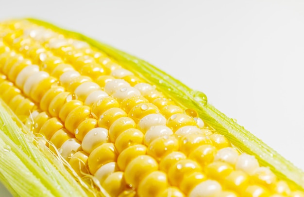 Yellow sweet Corn Cob with leaves Closeup wet