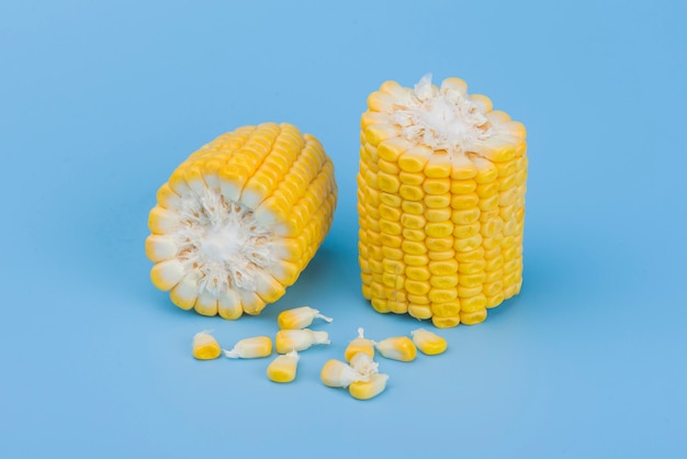 Yellow sweet corn isolated on blue