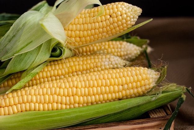 Yellow sweet corn in a wooden box 