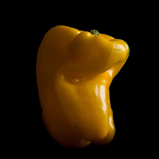 Yellow sweet pepper in studio on black background