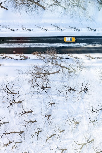 写真 黄色いタクシー 雪の日の日本 鳥瞰図