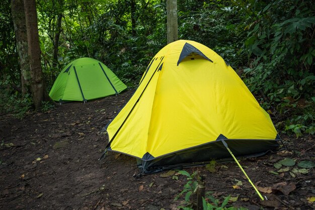 Yellow tent on field against trees in forest