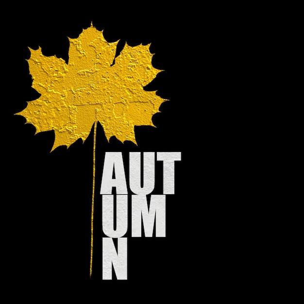 Yellow texture maple leaf on a black background autumn design concept